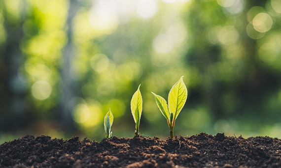 AO_Sustainability_shutterstock_1316863049_53web