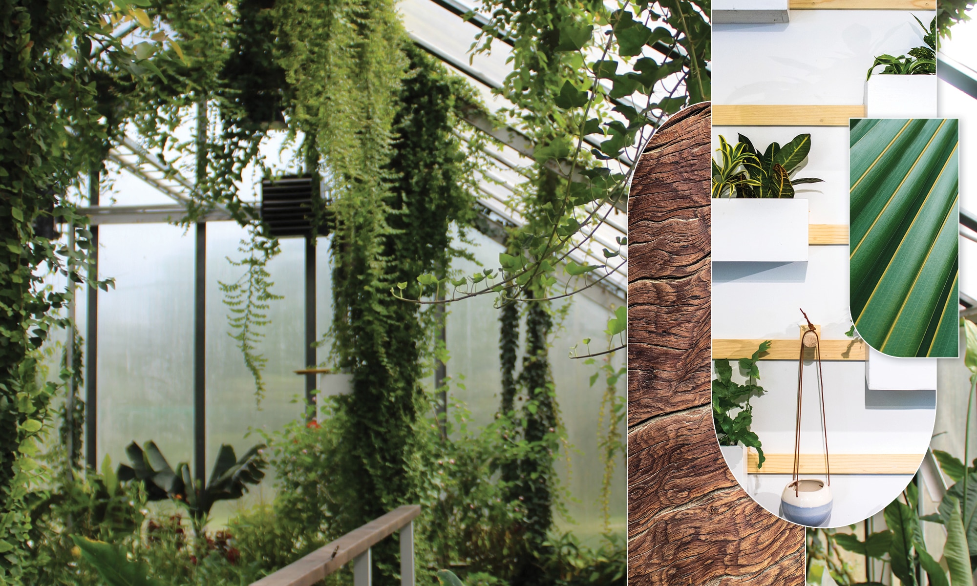 Biophilic Essence mood board with hanging plants and tree trunks.