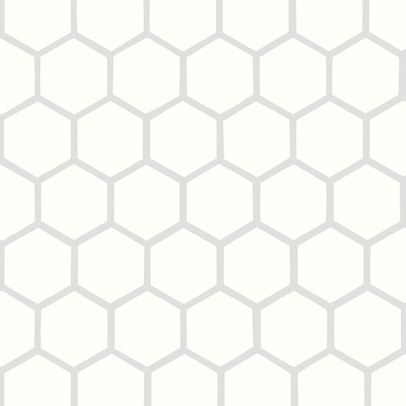AO_0025_1-5_Hex_Msc_IceWhite_Silo_01_swatch