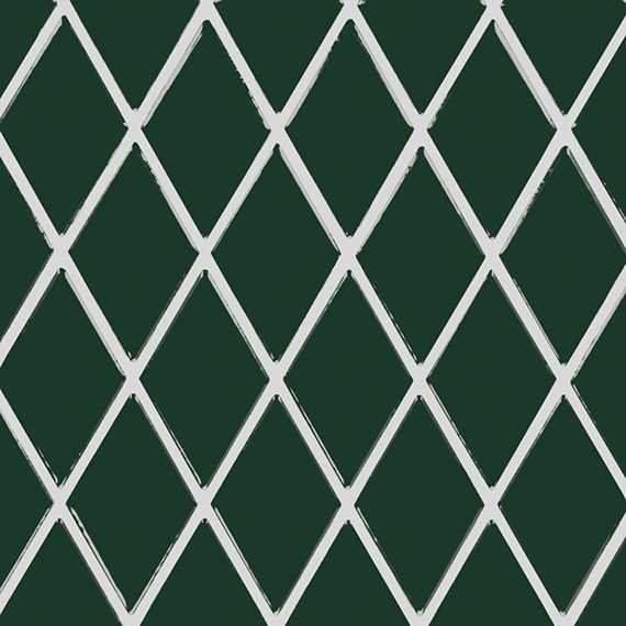 AO_0082_2x3_Harlequin_Msc_Wisdom_Silo_01_swatch