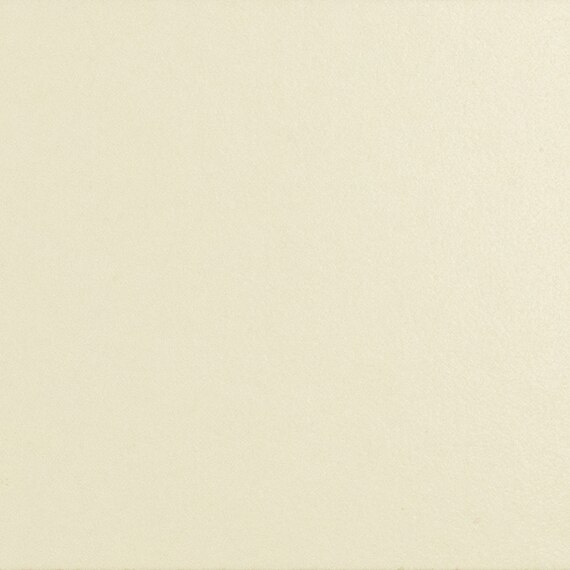 AO_24_6x6_MatteIvory_swatch