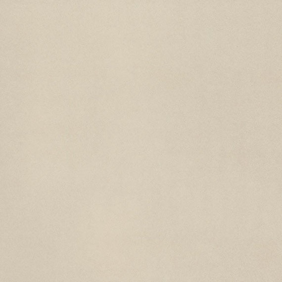 AO_NE10_12x24_White_06_swatch