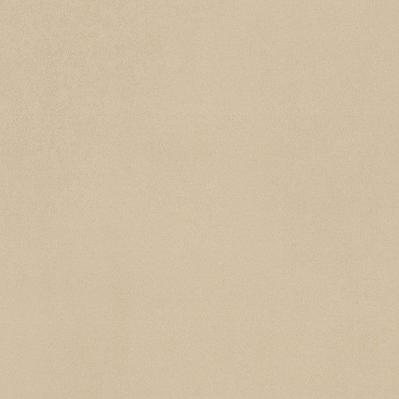 AO_NE11_12x24_Beige_01_swatch