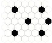 Arctic White/Black, Hexagon, 1.5, Glossy