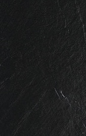 Black DL28