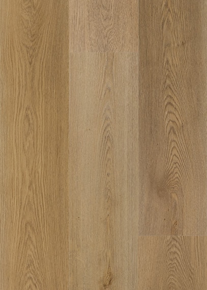 DAL_AB24_9x71_Manor_Grid
