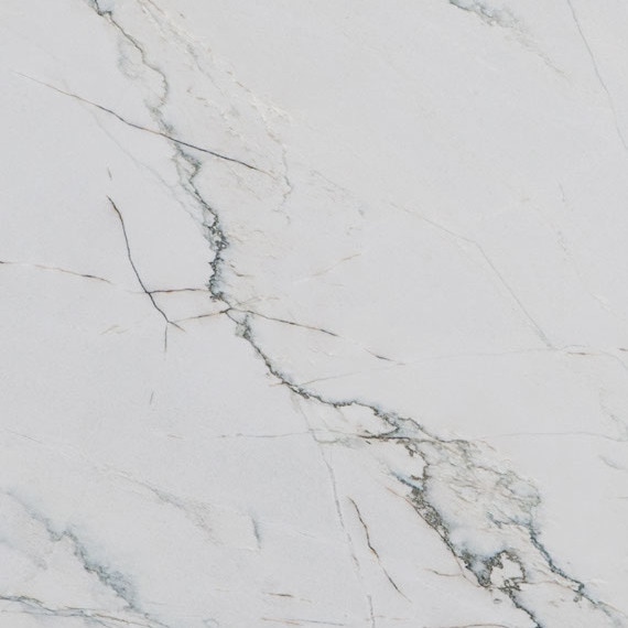 Calacatta Quartzite