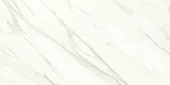 Carrara White, Rectangle, 12X24, Matte