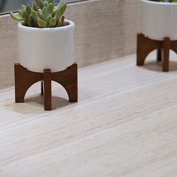 Chenille White limestone countertop in a bathroom. Succulents in vases on the countertop.