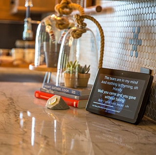 DAL_MistyMill_KitchenCounter_Quartzite_web