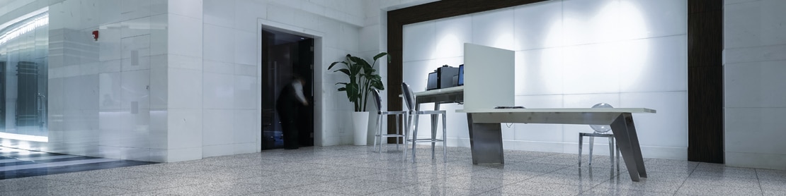 Ultra-modern office building foyer with large format, white & gray terrazzo look floor tile, white stone wall tile with spotlights and black framing, and 5-foot bird of paradise plant.