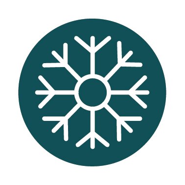 XteriorFacade_Icon_FreezeThawResist