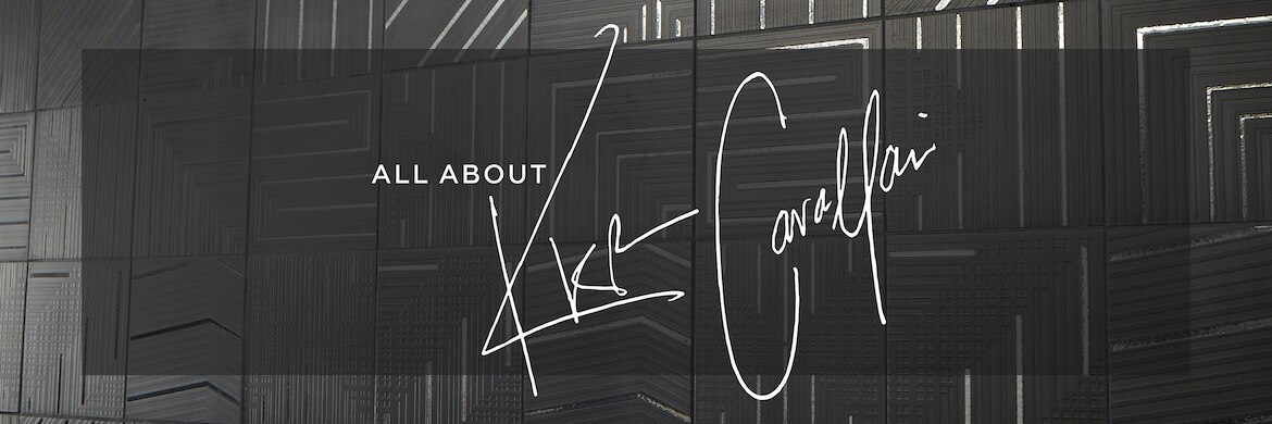 KC_Bio_Header_banner