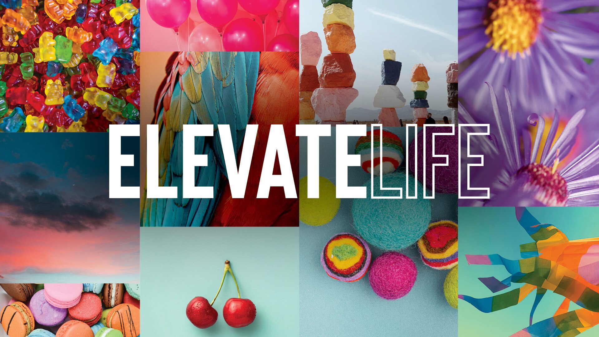 DAL_Elevate-Life_collage_banner