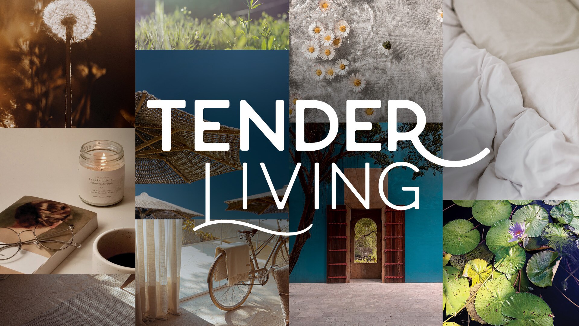 DAL_Tender-Living_collage_banner