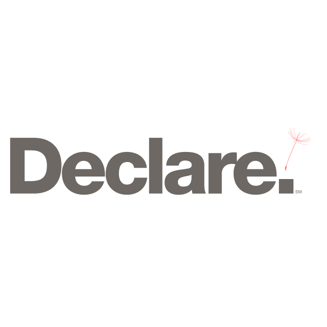 declare_logo_vector_1.