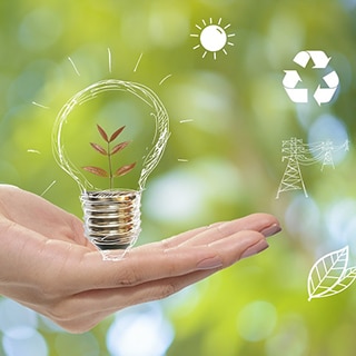 Woman's hand under a floating lightbulb containing budding plant, and green background with white graphics of leaves, sun, recycle symbol, and powerlines.
