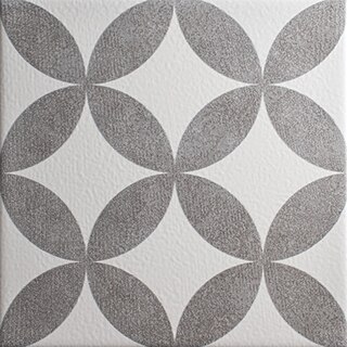 DAL_QHV_Vision_PETALS
