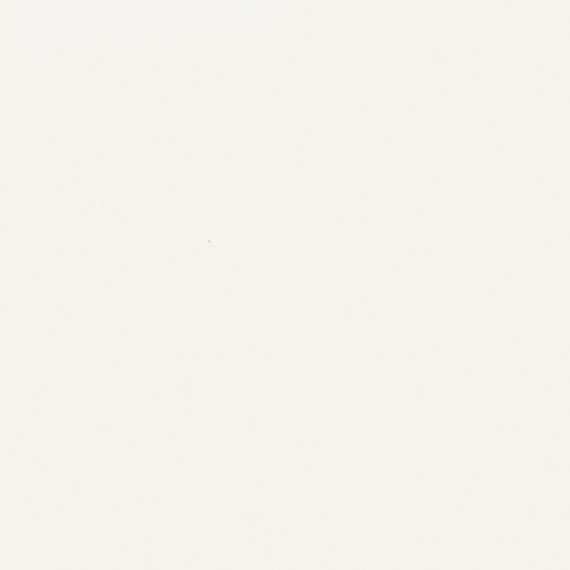 DAL_0790_3x6_MatteArcticWhite_swatch