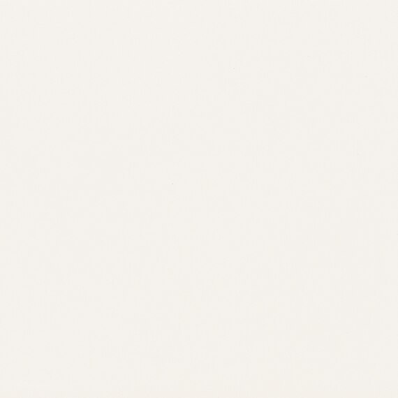 DAL_0790_6x6_MatteArcticWhite_swatch