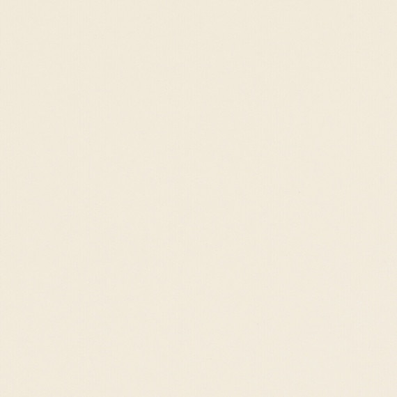 DAL_CU33_3x6_Carrara_MT_Detail_swatch