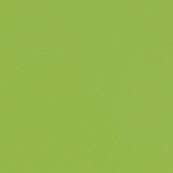 DAL_CU80_3x6_Fern_MT_Detail_swatch
