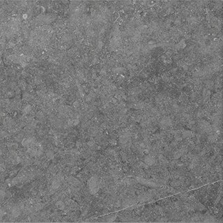 DAL_DP01_12x24_LightGrey_swatch