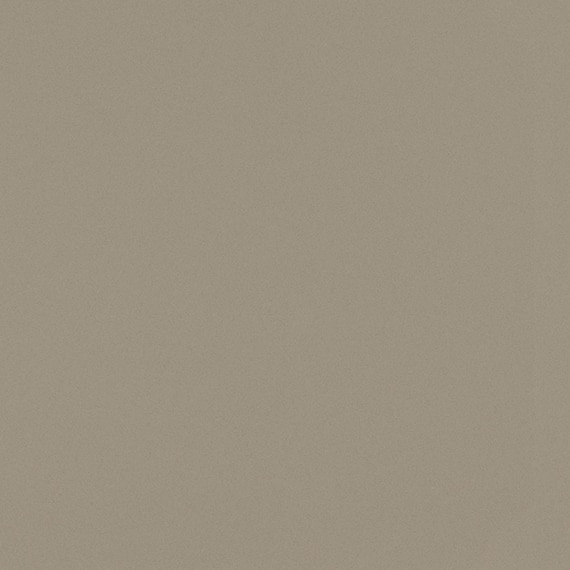 DAL_NQ89_MesaDune_Slab_swatch