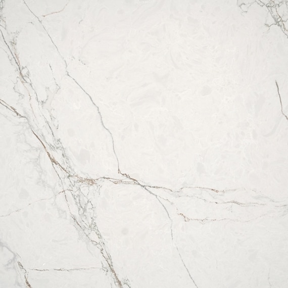 DAL_OQ89_CathedralCalacatta_Detail_02_swatch