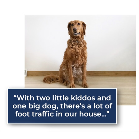 A golden retriver with a text caption stating "With two little kiddos and one big dog, there's a lot of foot traffic in our house . . ."