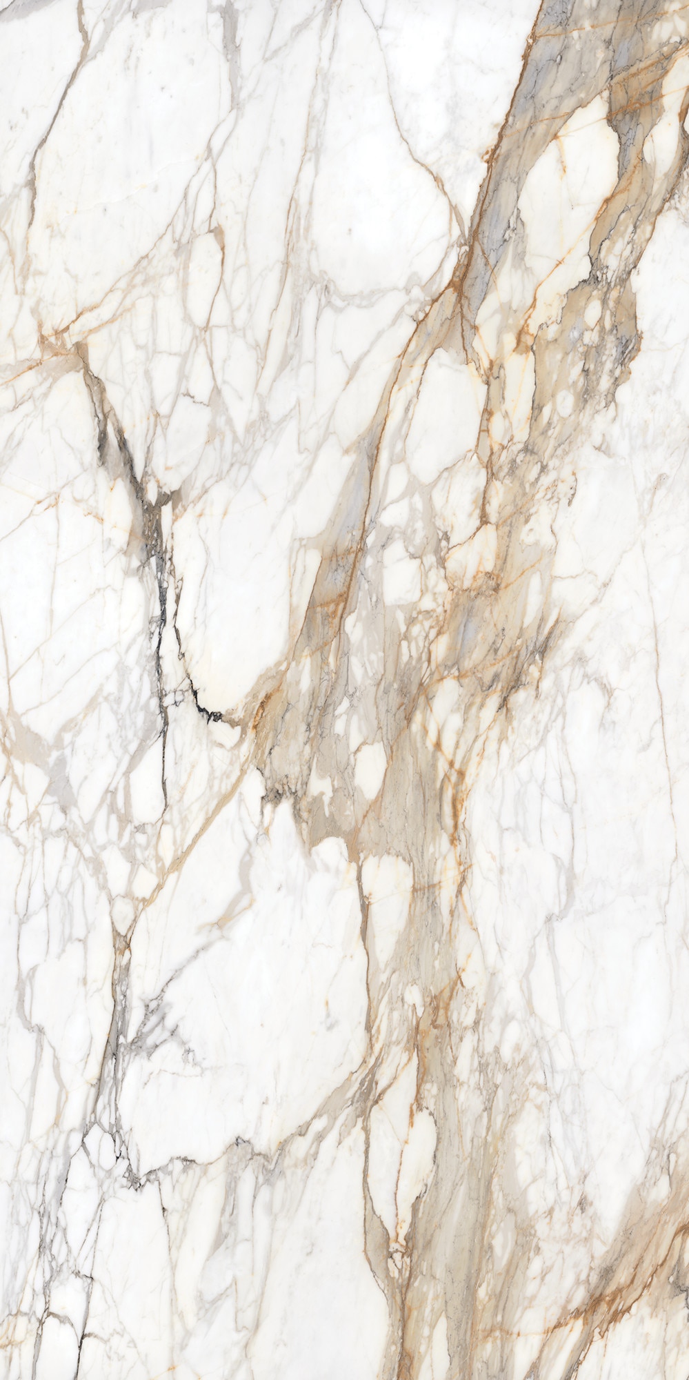 Calacatta Topaz, Slab, 63X126, Matte, 6M