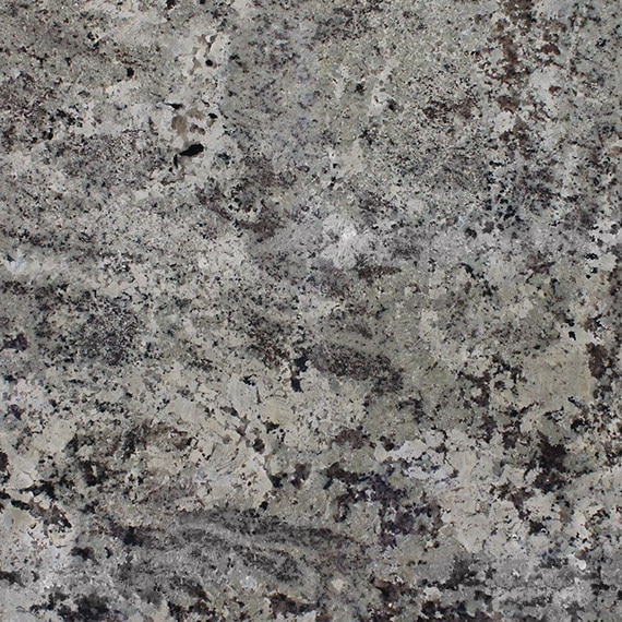Granite - Natural Stone Slab - Alaska White