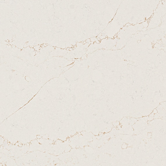 DAL_OQ98_ValorGold_POL_Slab_01_zoom_2000_v2_web